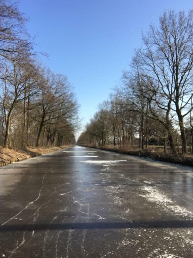 Jahn Barssel (Cloppenburg)